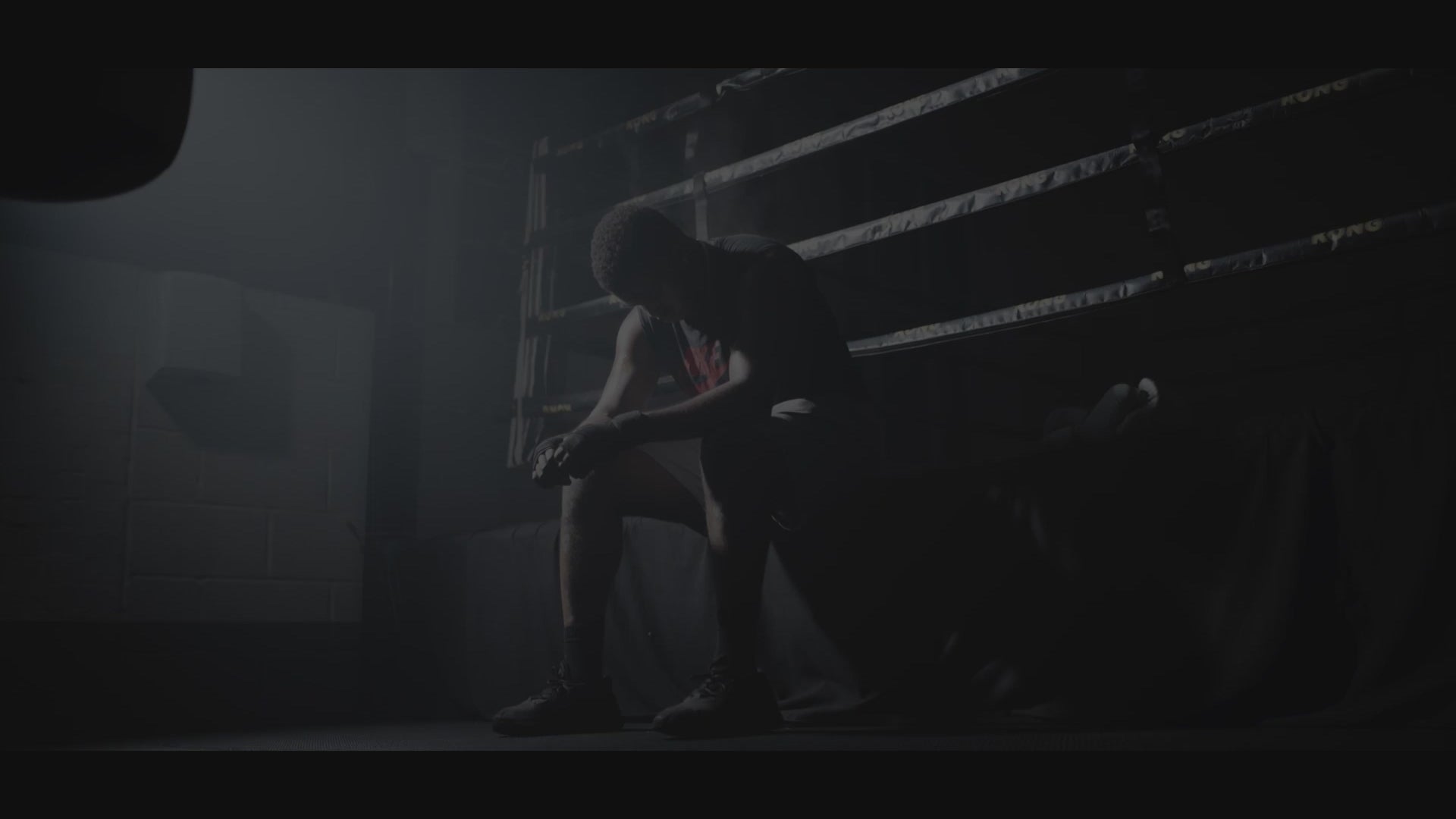 Charger la vidéo : 